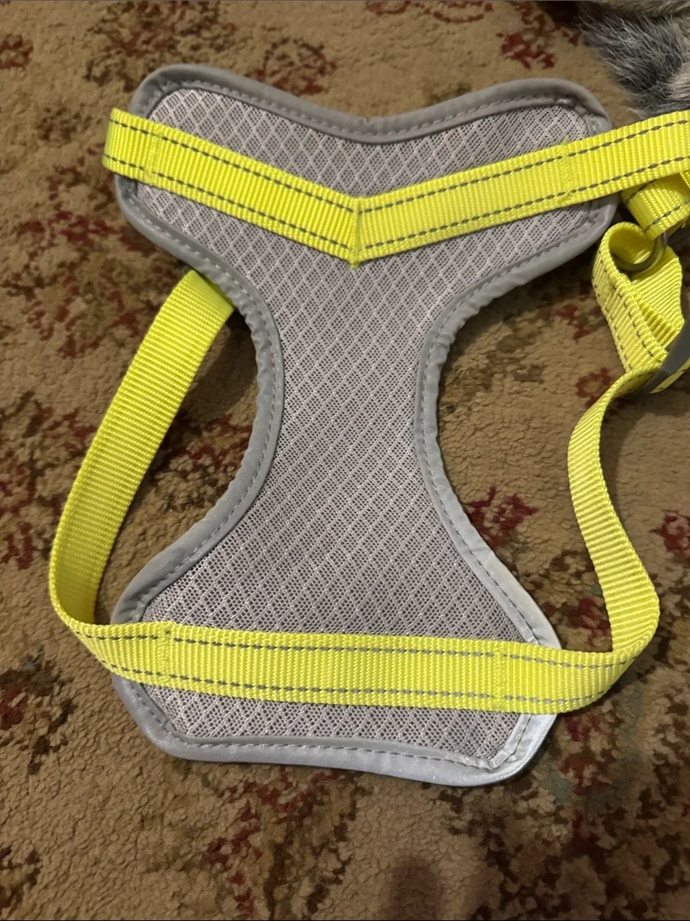 High-Visibility Yellow & Gray Dog Harness W/ Halloween moose pet hat